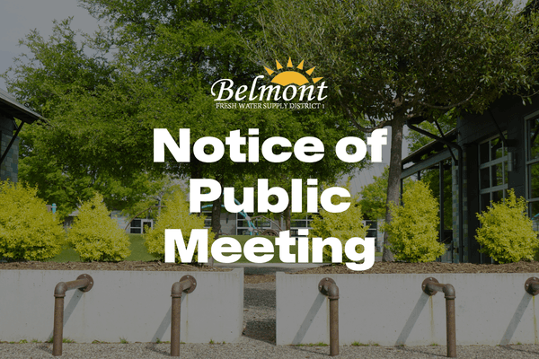 2Belmont1Agenda.png