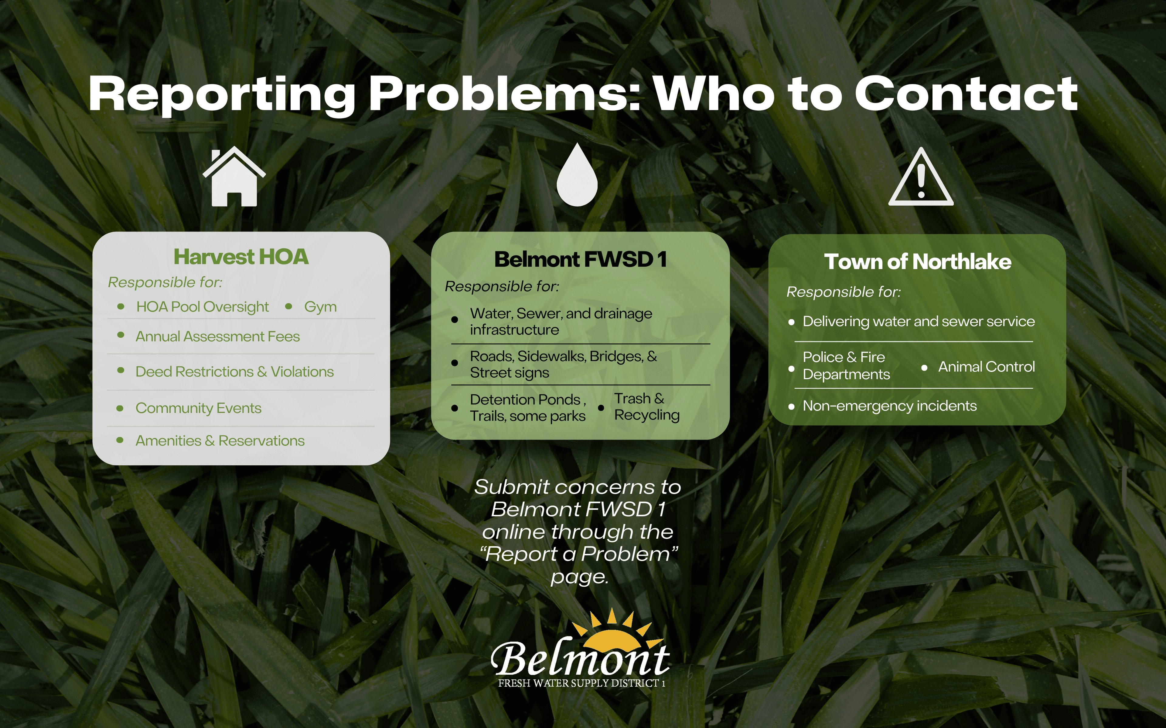 Belmont1 Who To Ask.png